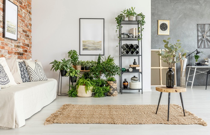 Create A Pinterest-Worthy Living Room Corner In A Jiffy | RentoMojo