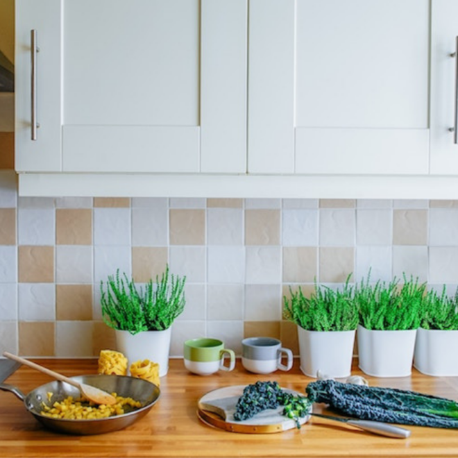 How To Create An Eco-Friendly Kitchen: 9 Proven Ways To Try